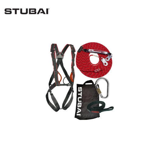 S891 Dachdecker Set PSA Basic Plus