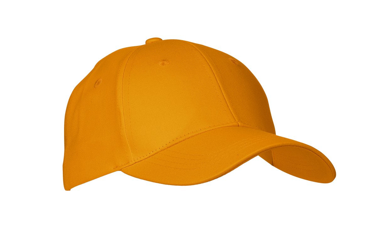 PAYPER - 6-Panel-Kappe ILLINOIS